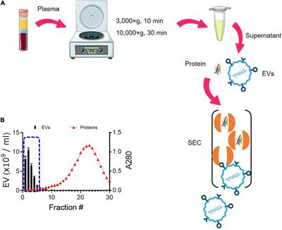 Single Extracellular Vesicle Analysis Using Flow Cytometry for Neurological Disorder Biomarkers